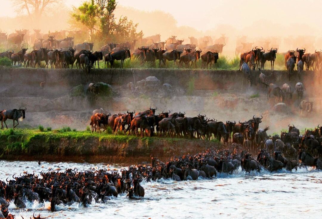 Great Migration