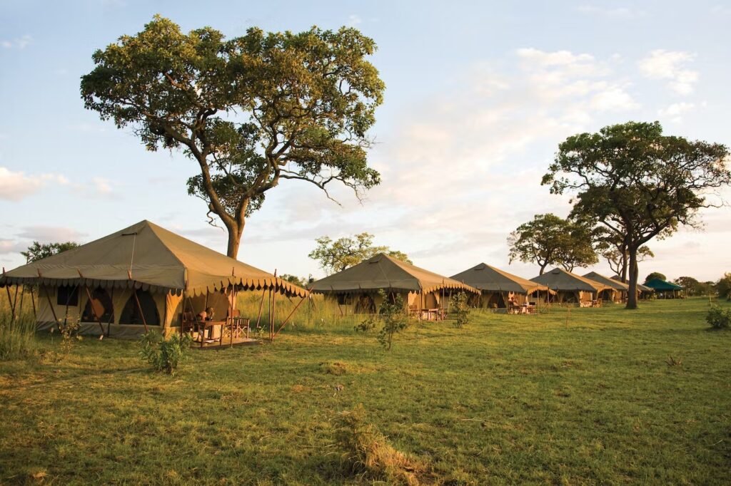 serengeti nyumba