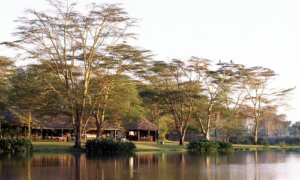 Voyager Ziwani Camp